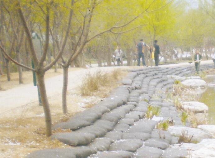 生态袋河道治理